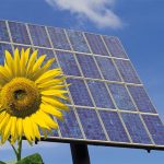 Rechazo electoral a los partidos que se opongan a las energías renovables Energías renovables