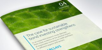 Los bonos verdes y sostenibles europeos vencen a los americanos
