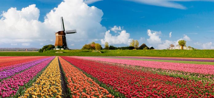 Holanda, con el menor plazo de pago