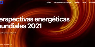 Informe IEA 2021